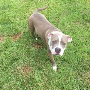 Meet your Posher, Franklin